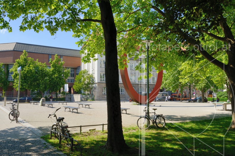 MSN_8773.jpg