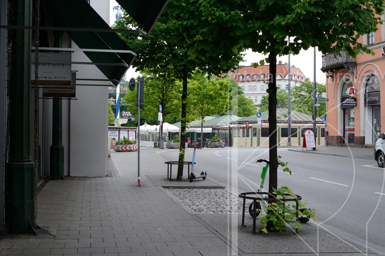 MSN_8843.jpg