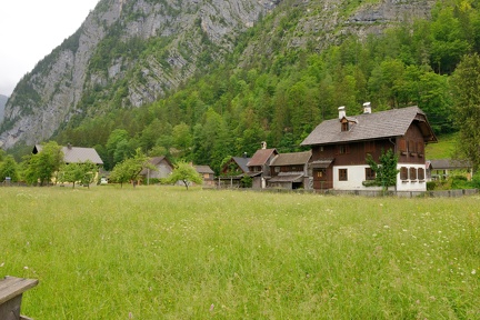 MSN 8694